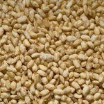 画像3: 乾燥　玄米こうじ (3)