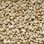 画像3: 乾燥　麦こうじ (3)