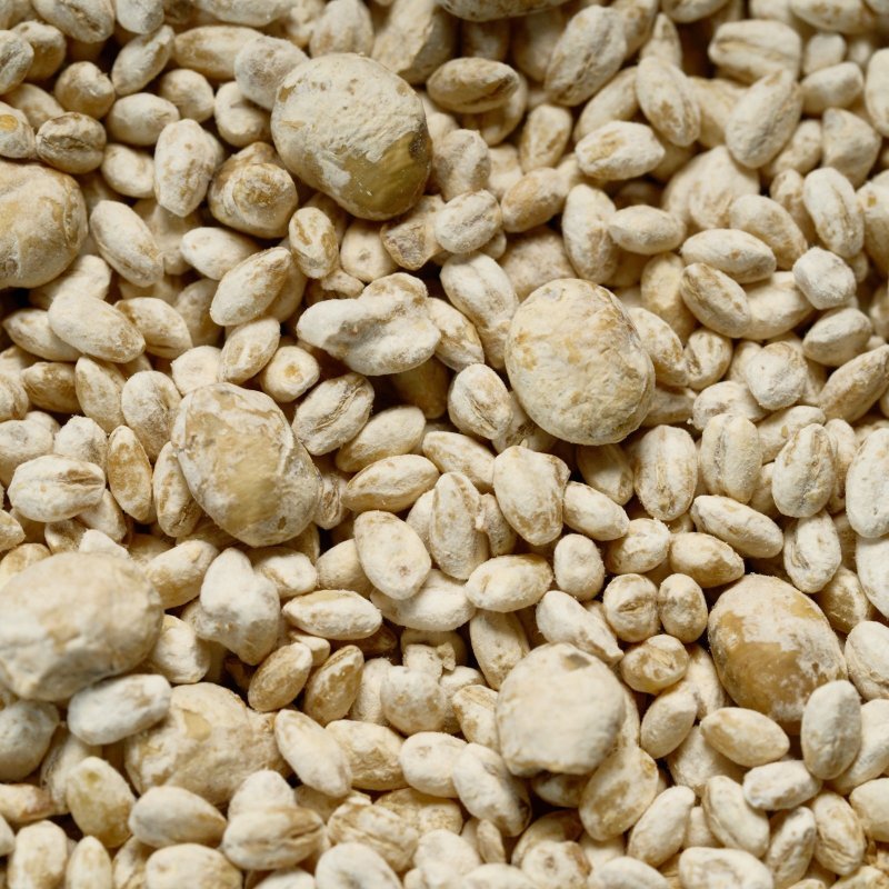 画像4: ひしおの糀✕鐵次郎　セット (4)