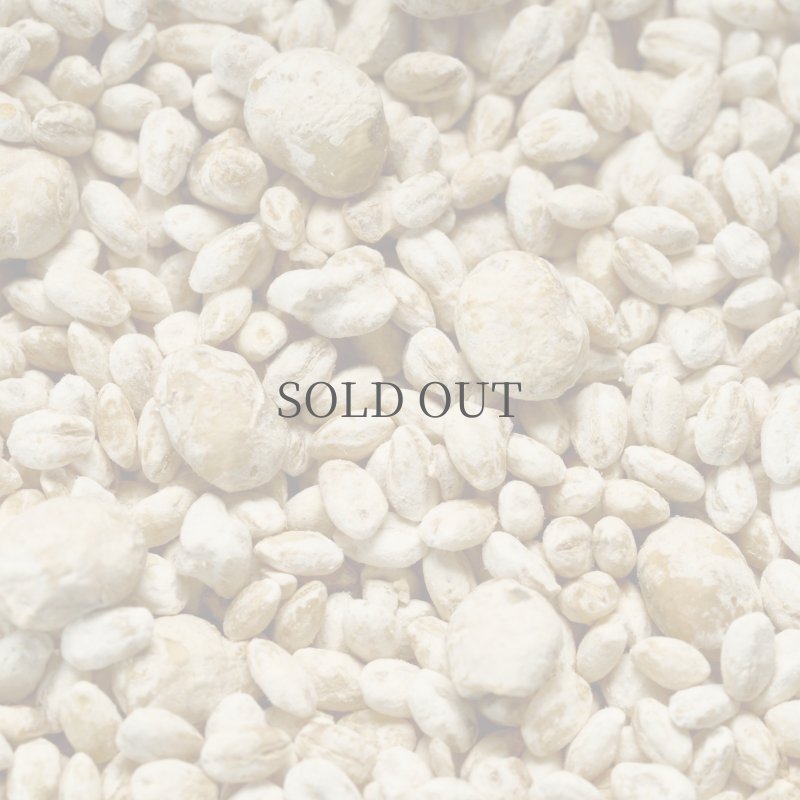 画像3: ひしおの糀 (3)