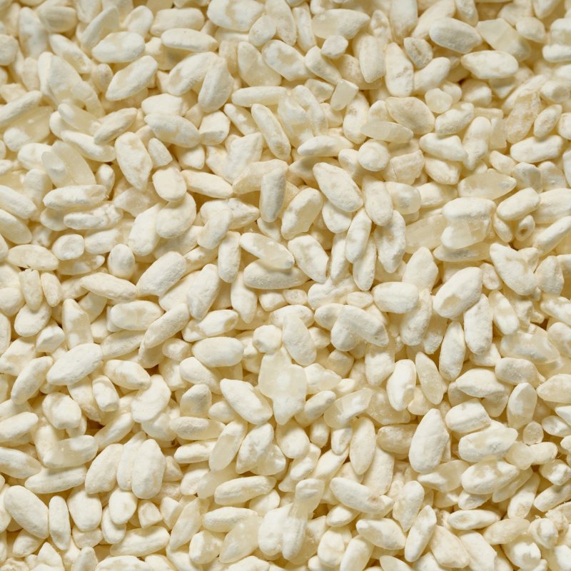 画像3: 乾燥　あま酒こうじ (3)