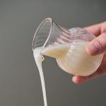 画像4: 生塩麹 (4)