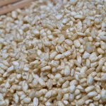 画像5: 生こうじ　玄米ー岡山県産有機JAS認定米使用　 (5)