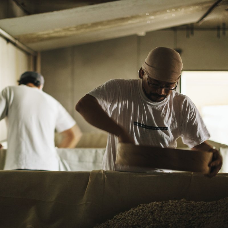 画像7: 乾燥　玄米こうじ (7)