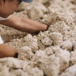 画像8: ひしおの糀　小袋 (8)